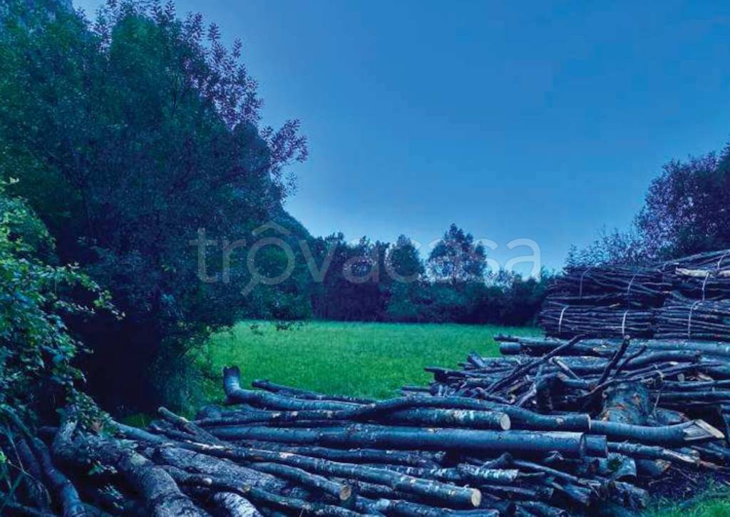 immagine annuncio 4 di 9