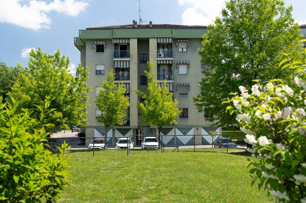 immagine annuncio 1 di 15