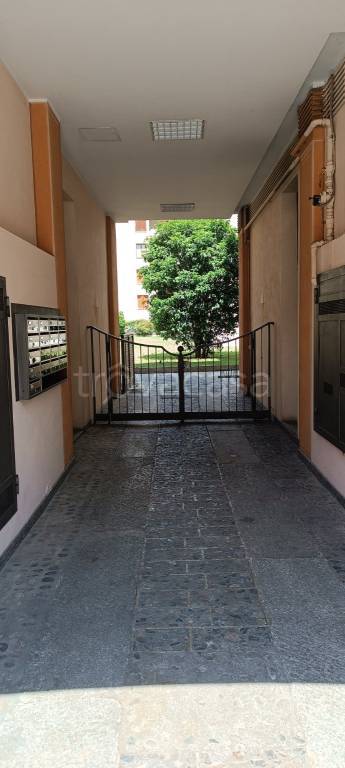 immagine annuncio 2 di 14