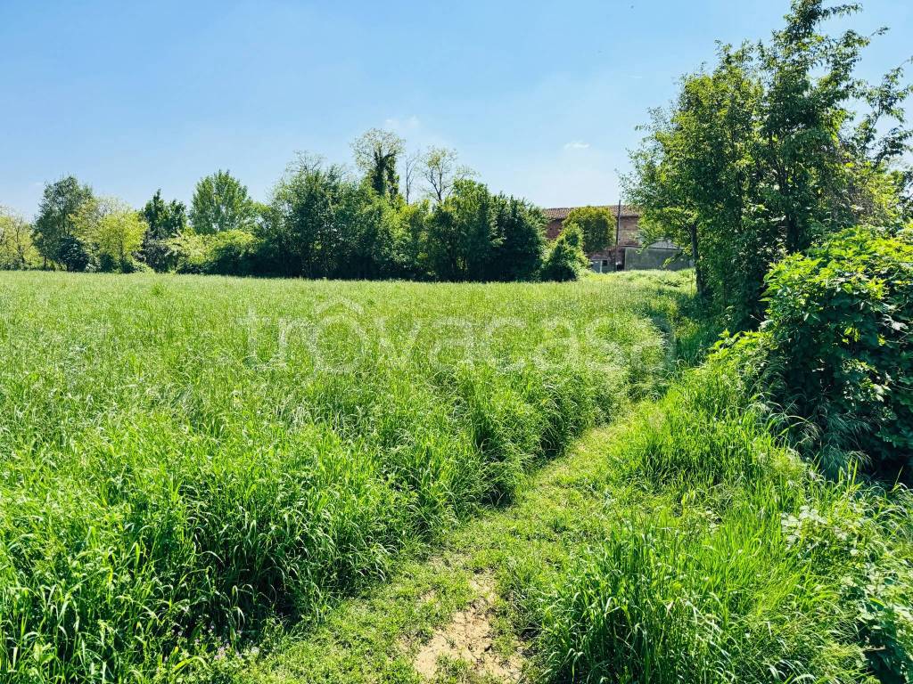 immagine annuncio 10 di 12