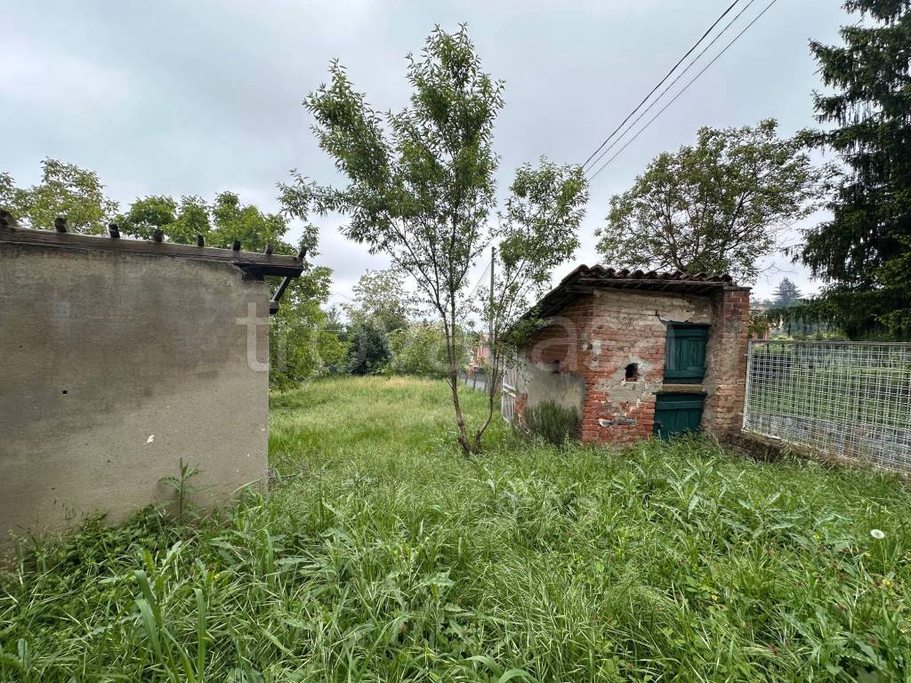 immagine annuncio 5 di 15