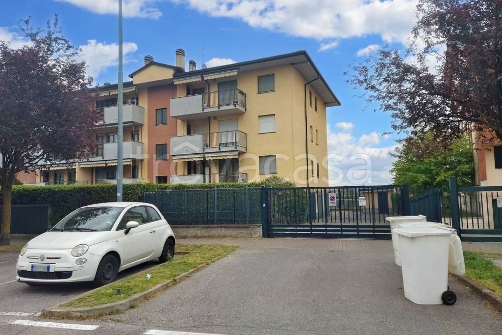 immagine annuncio 7 di 15