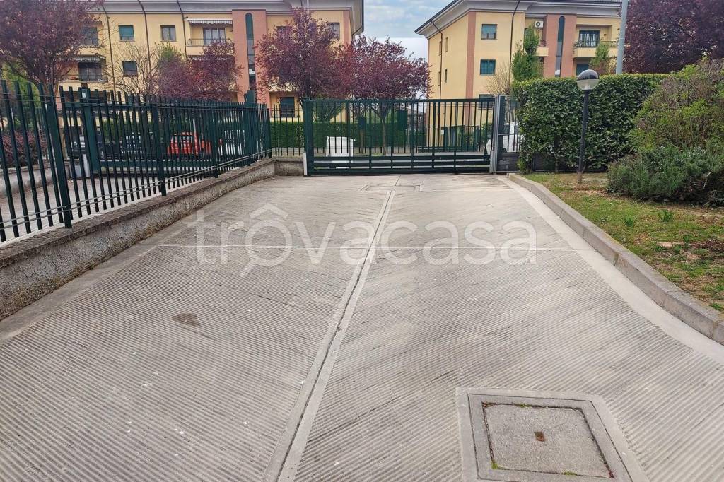 immagine annuncio 8 di 15
