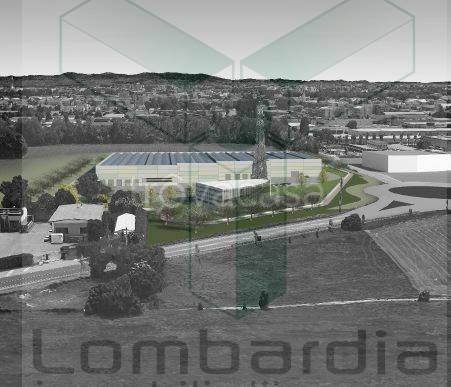 immagine annuncio 5 di 9