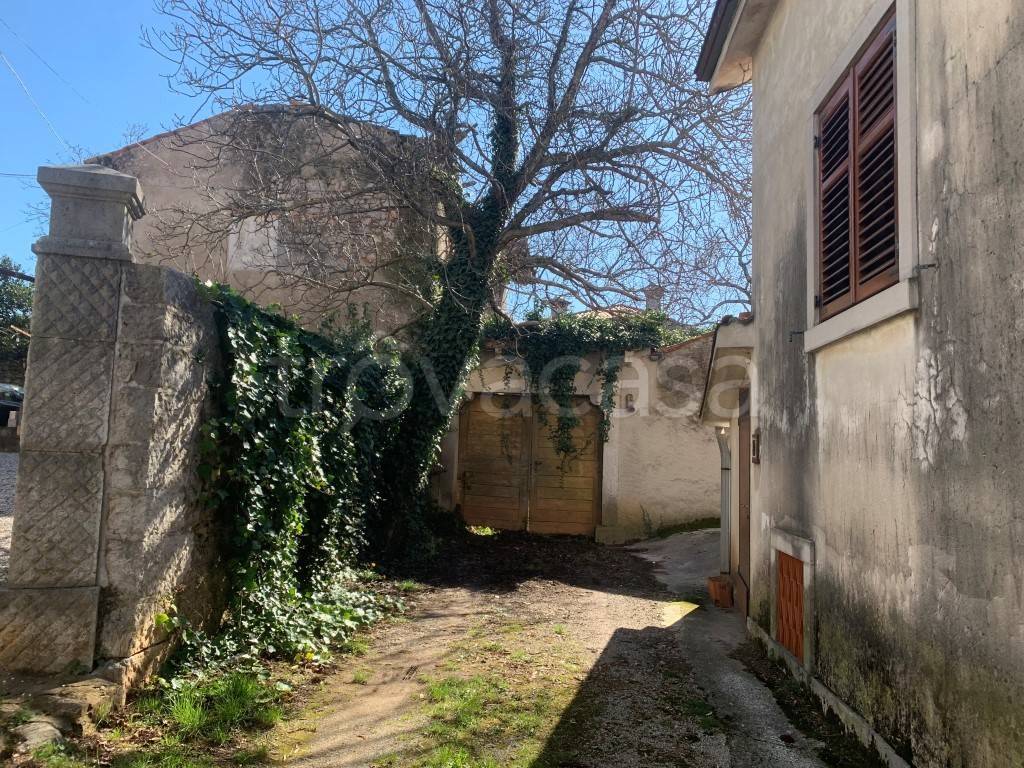 immagine annuncio 5 di 12