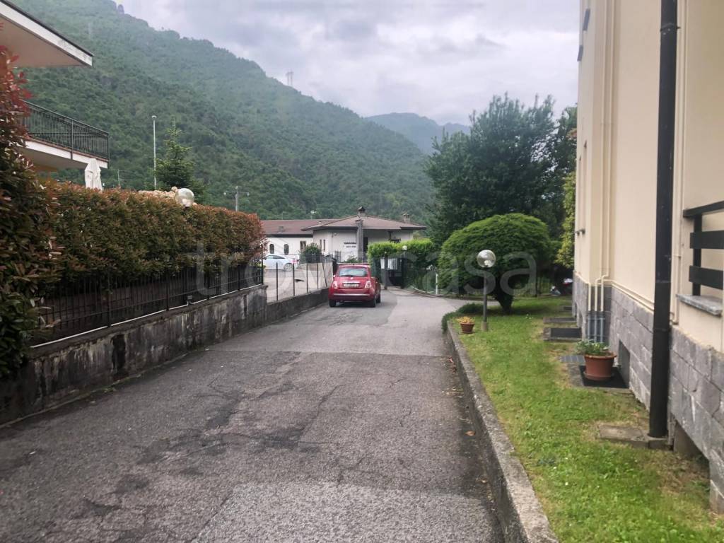 immagine annuncio 6 di 14