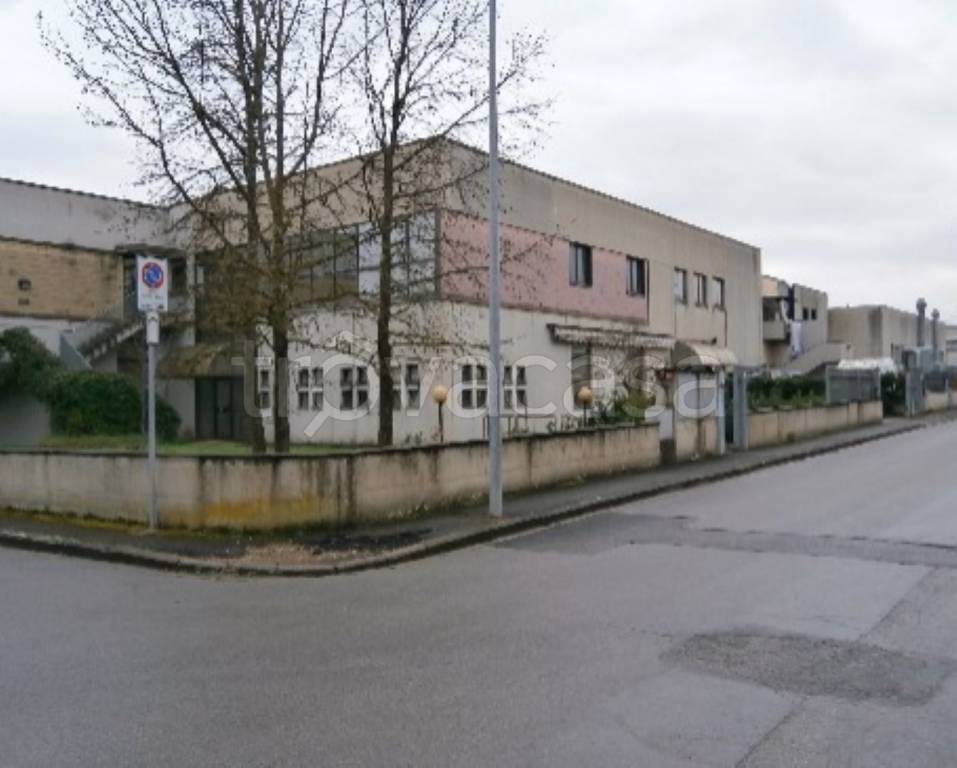 immagine annuncio 11 di 12
