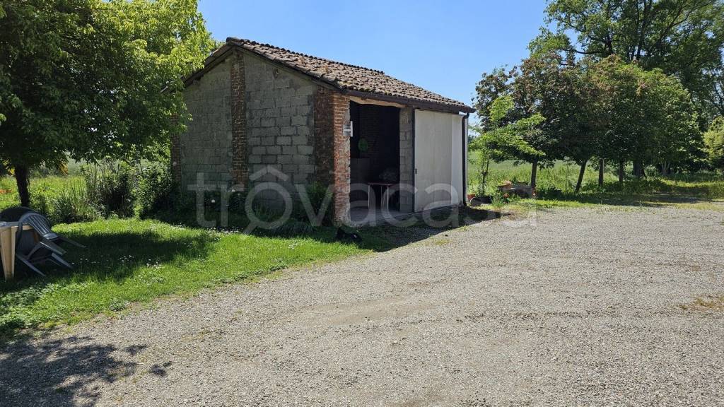 immagine annuncio 5 di 6