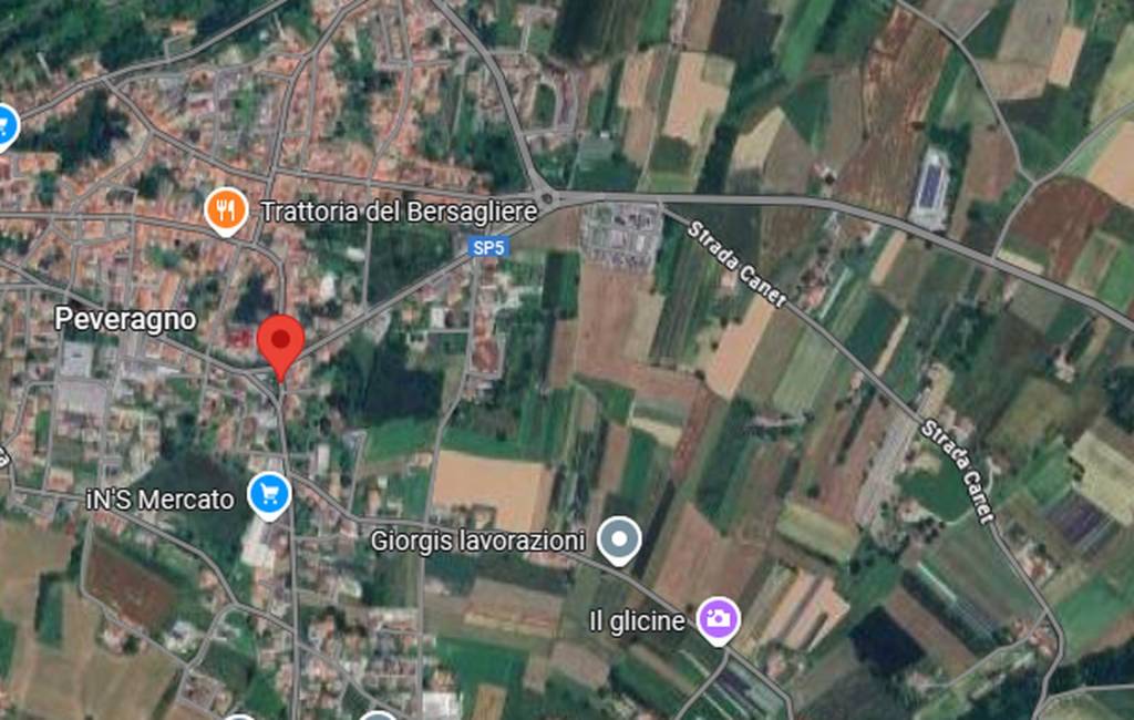 immagine annuncio 2 di 11