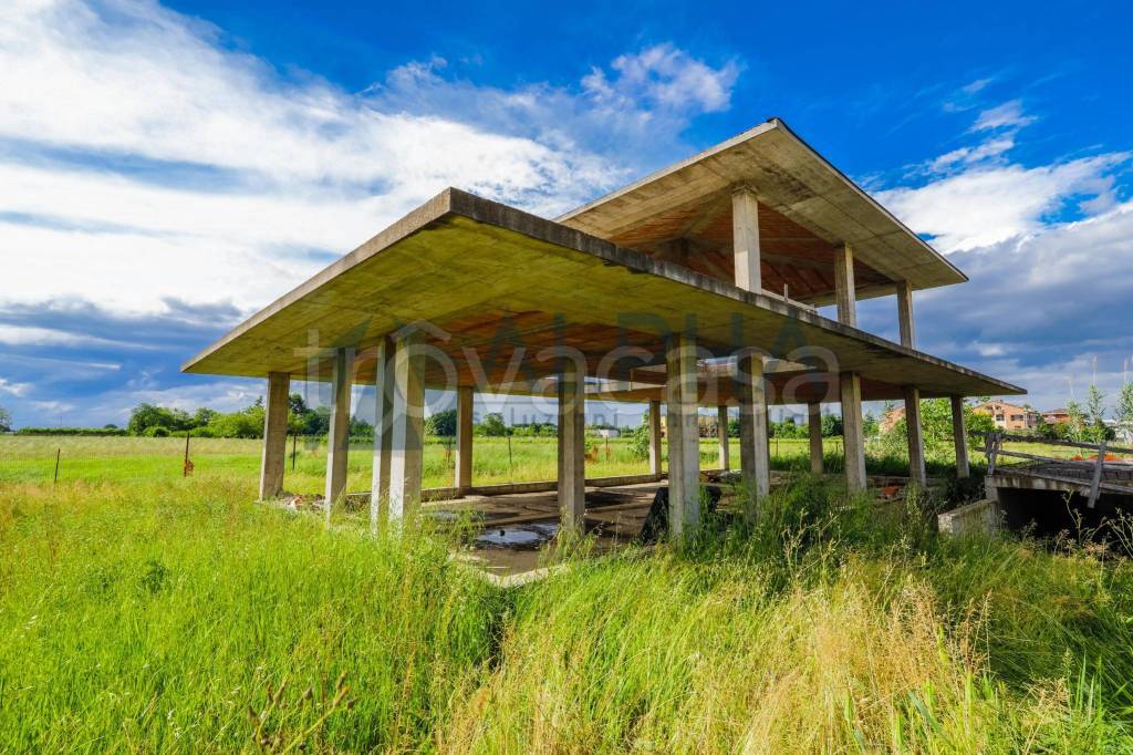 immagine annuncio 5 di 8