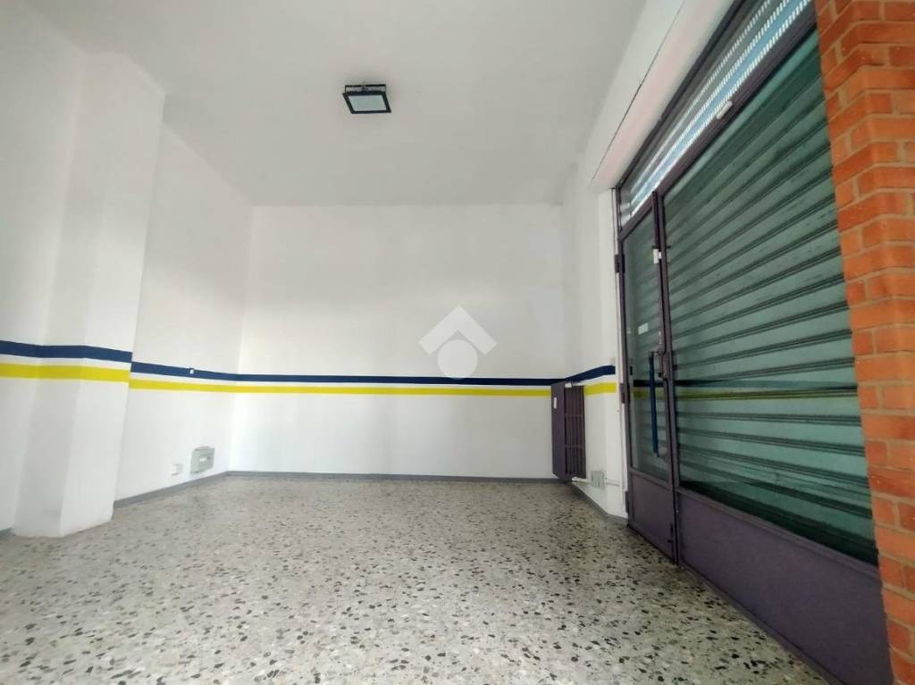 immagine annuncio 5 di 14