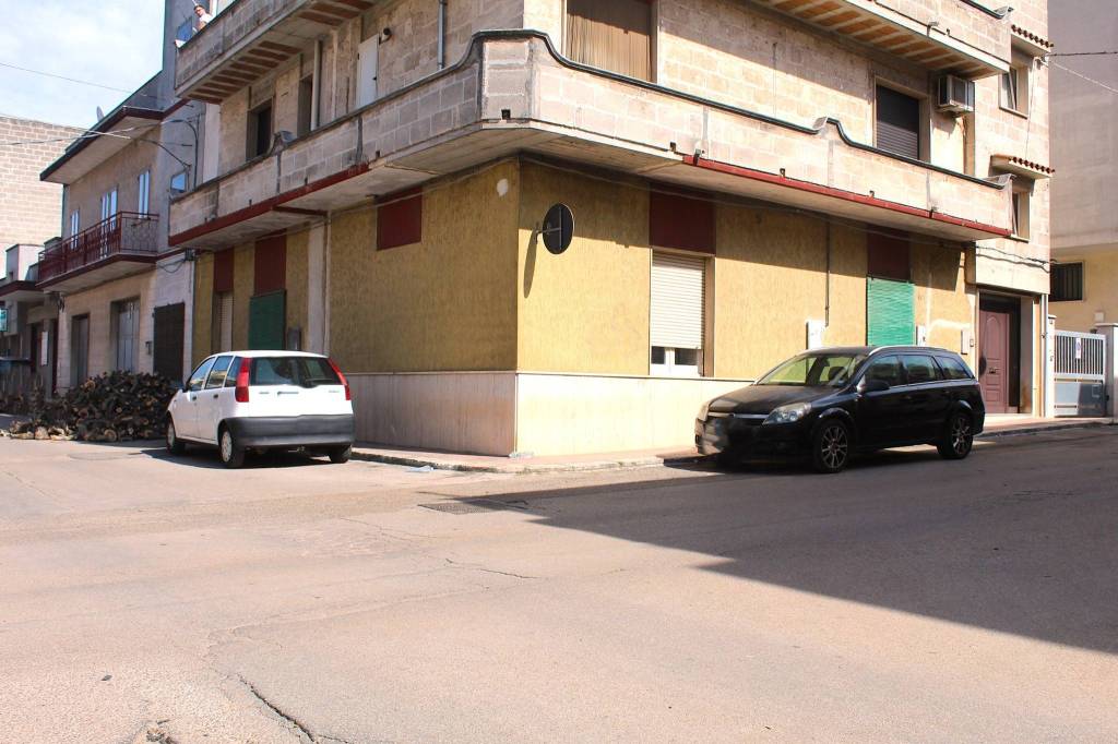 immagine annuncio 1 di 12