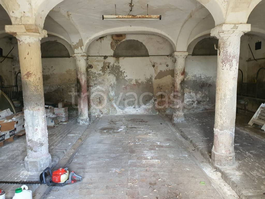 immagine annuncio 2 di 12
