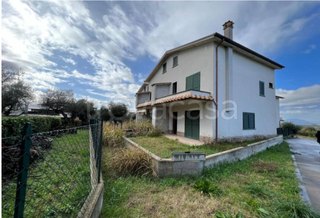 immagine annuncio 2 di 12