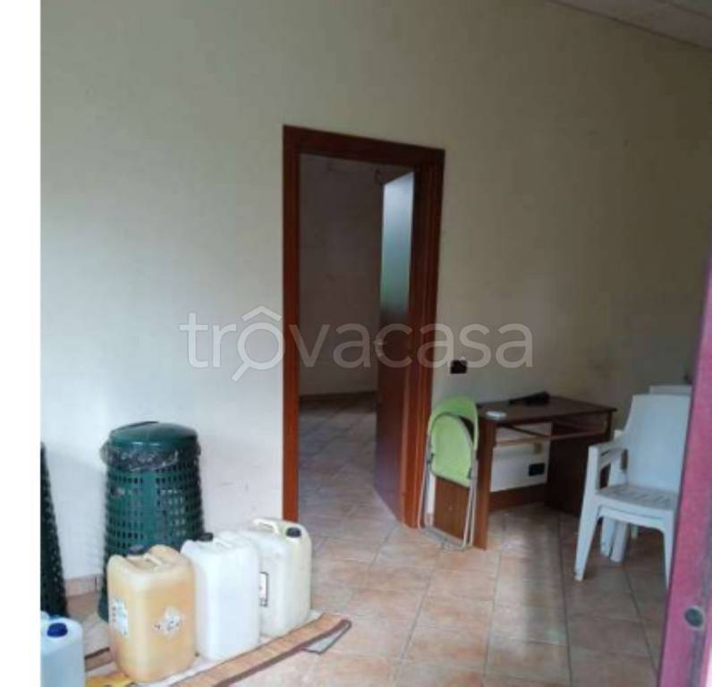 immagine annuncio 2 di 7