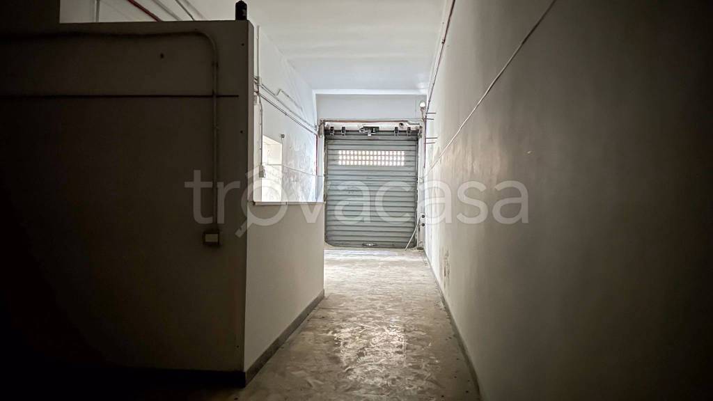 immagine annuncio 7 di 13