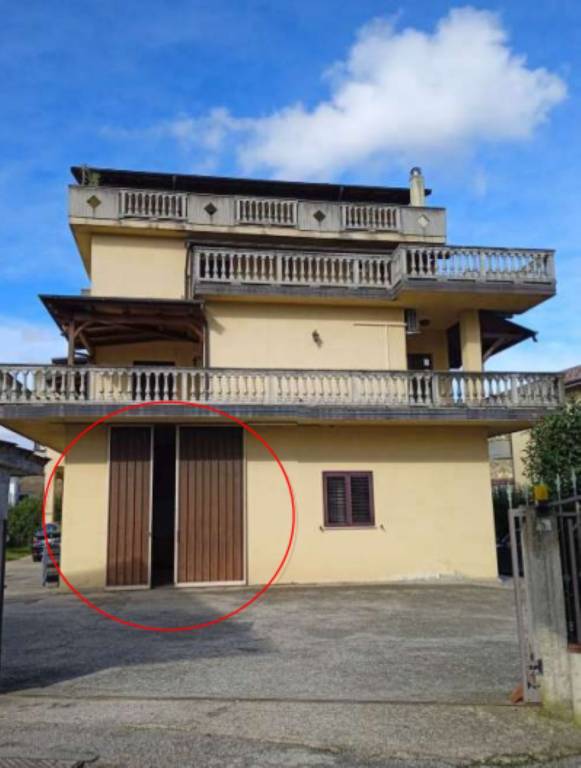 immagine annuncio 1 di 12
