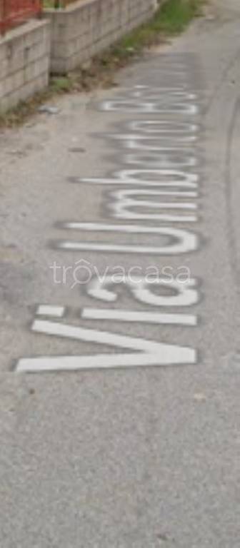 immagine annuncio 6 di 12
