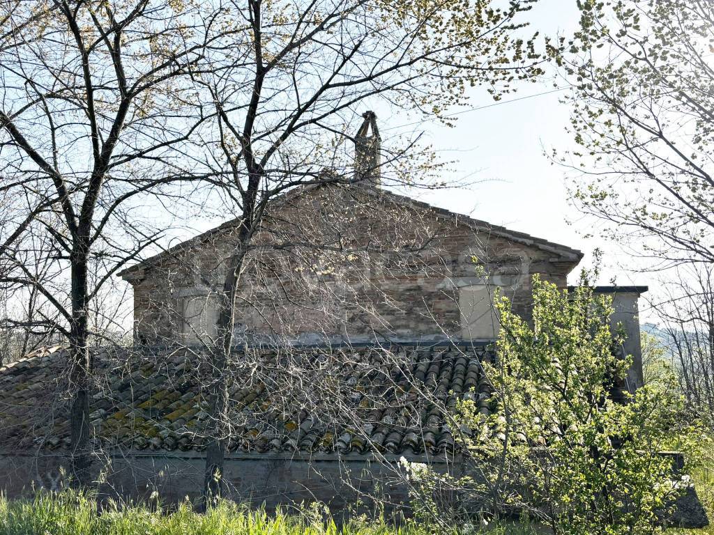 immagine annuncio 4 di 8