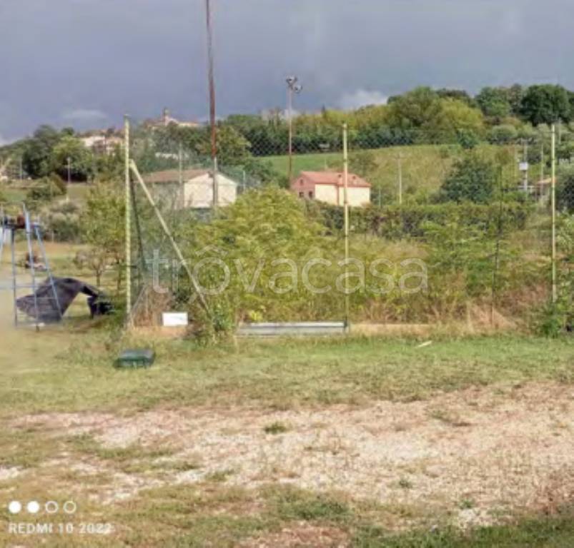 immagine annuncio 6 di 13