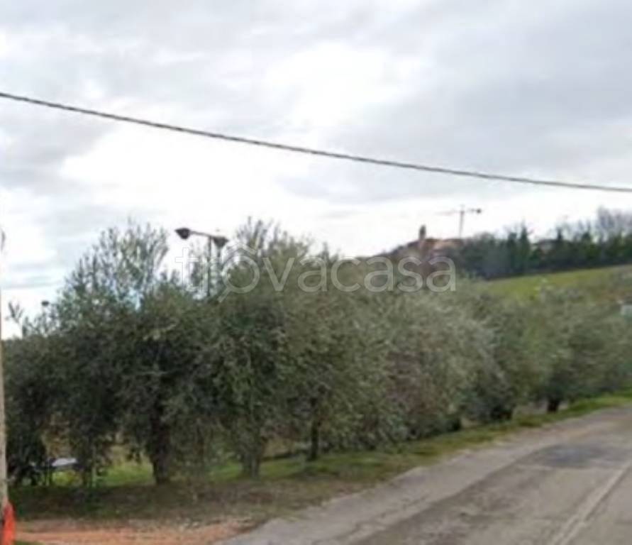 immagine annuncio 11 di 13