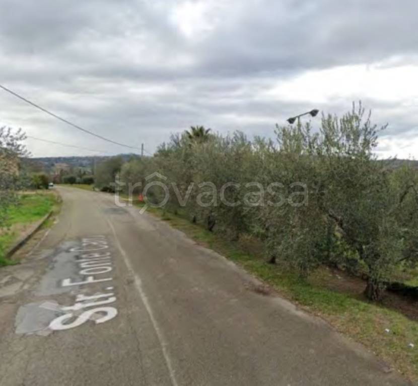 immagine annuncio 12 di 13