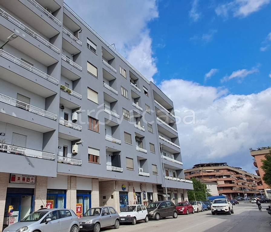 immagine annuncio 3 di 11