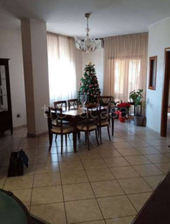 immagine annuncio 5 di 14