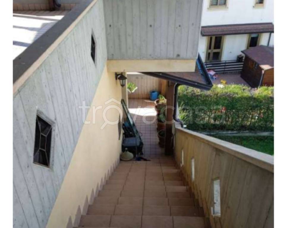 immagine annuncio 2 di 14