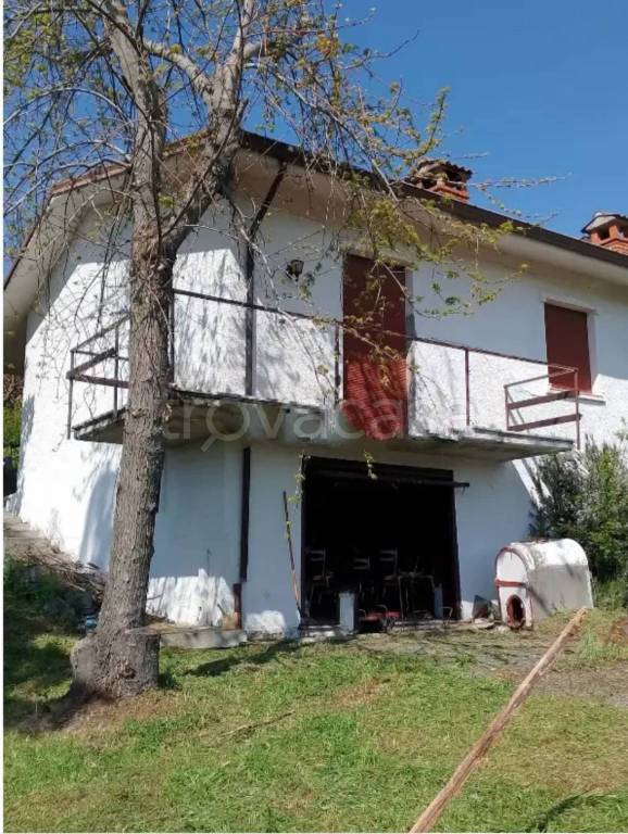 immagine annuncio 1 di 7