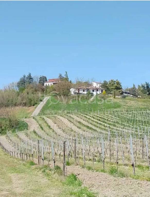 immagine annuncio 4 di 7