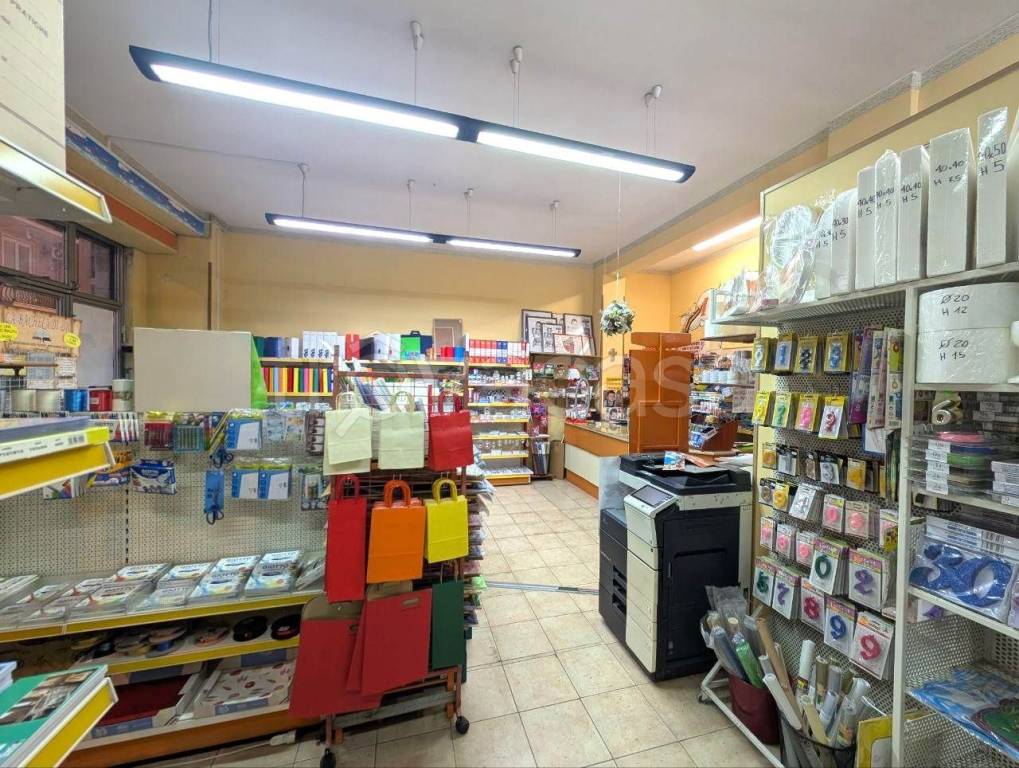 immagine annuncio 2 di 6