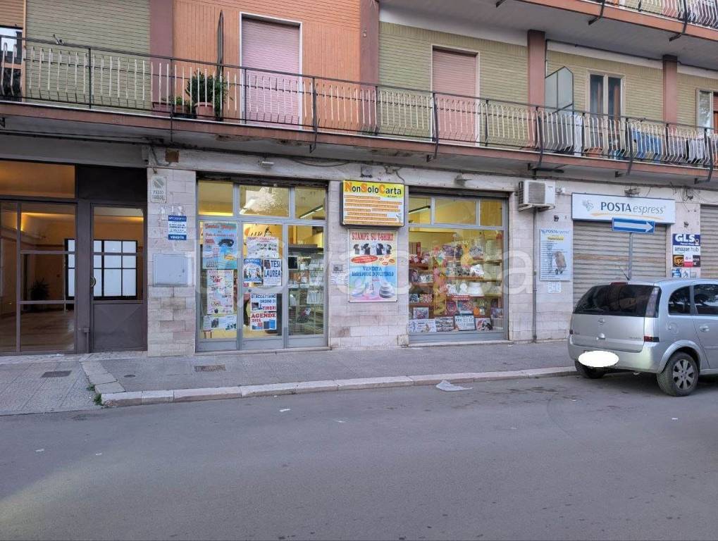 immagine annuncio 5 di 6