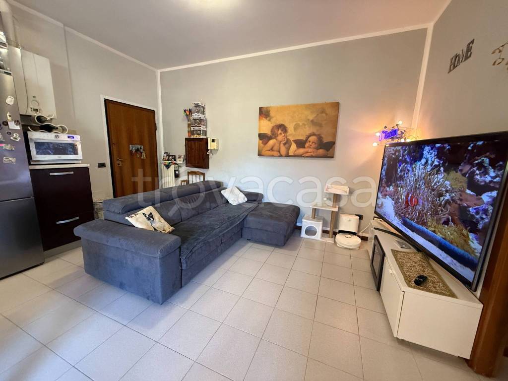 immagine annuncio 1 di 13