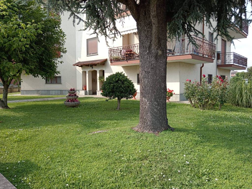 immagine annuncio 1 di 12