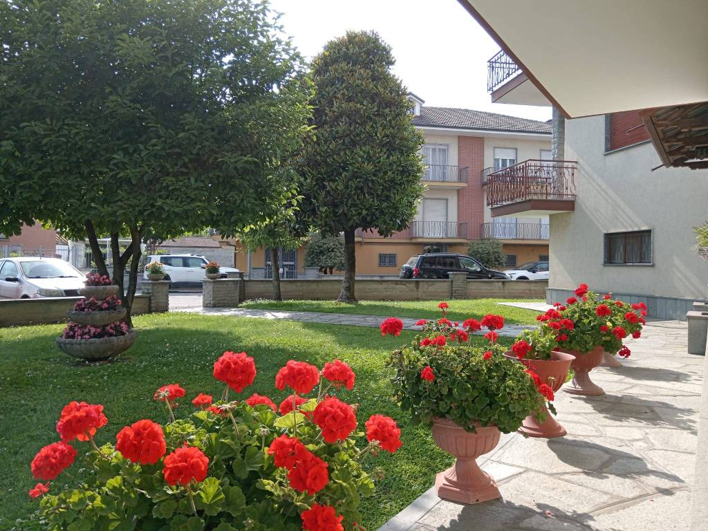 immagine annuncio 3 di 12