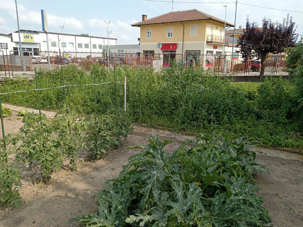 immagine annuncio 5 di 12