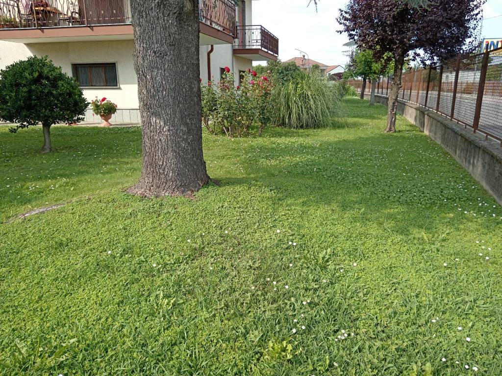 immagine annuncio 9 di 12