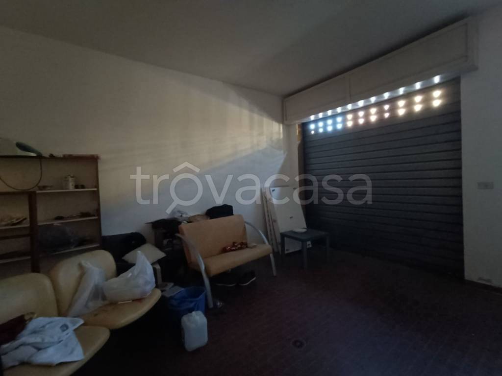 immagine annuncio 11 di 14