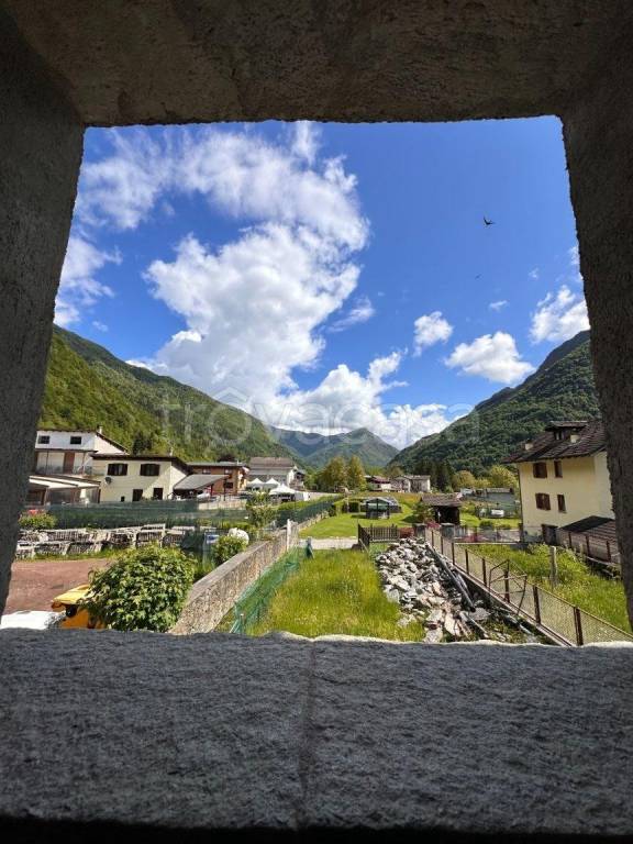 immagine annuncio 7 di 13