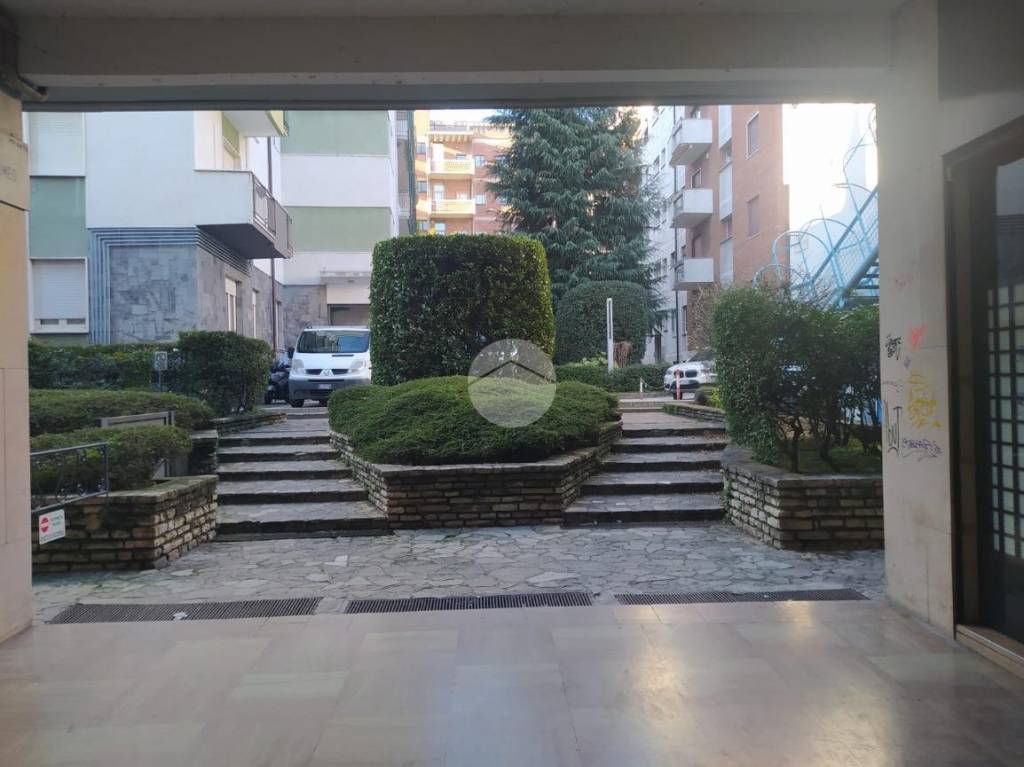 immagine annuncio 5 di 13