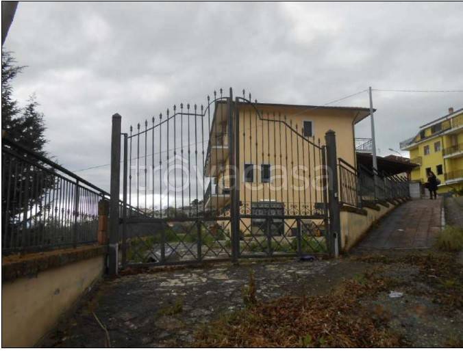 immagine annuncio 3 di 12