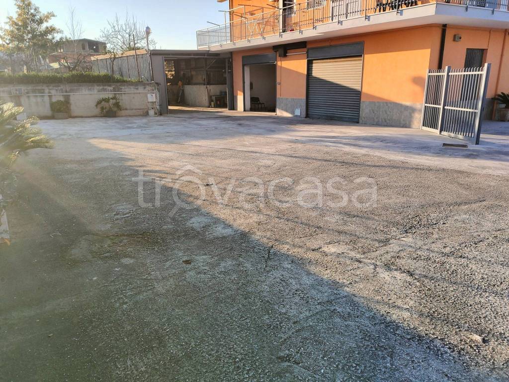 immagine annuncio 8 di 12