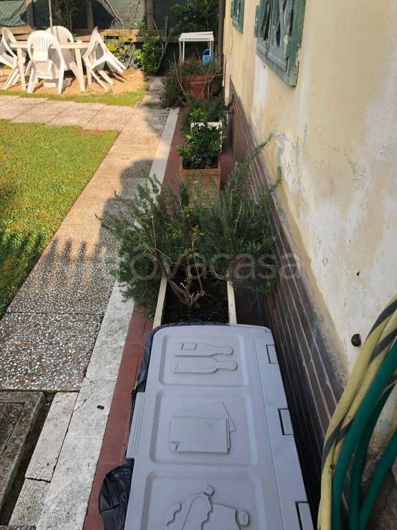 immagine annuncio 12 di 14