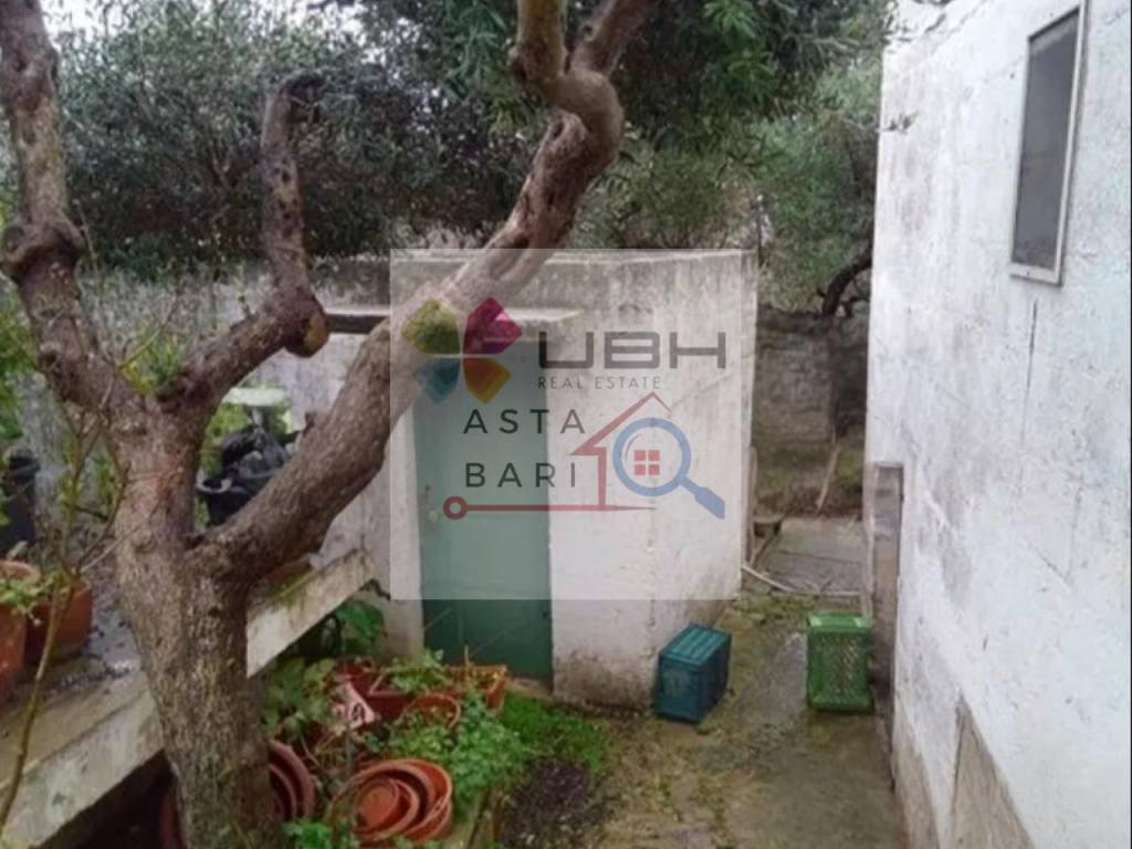 immagine annuncio 4 di 8