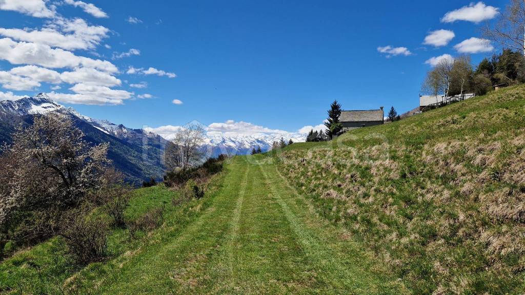 immagine annuncio 6 di 14