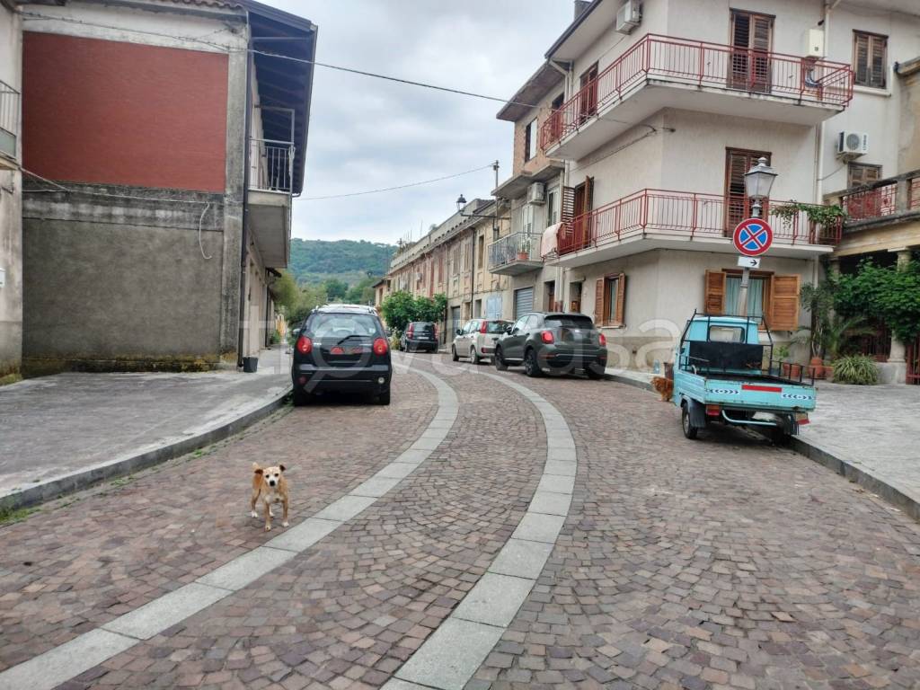 immagine annuncio 12 di 14