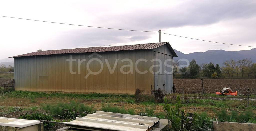 immagine annuncio 6 di 9