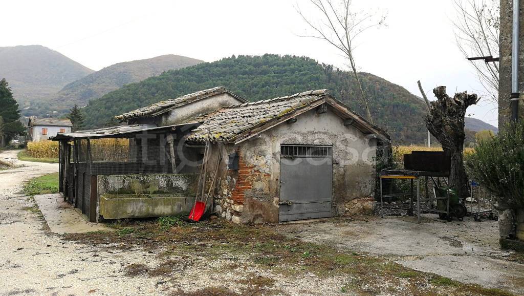 immagine annuncio 2 di 9