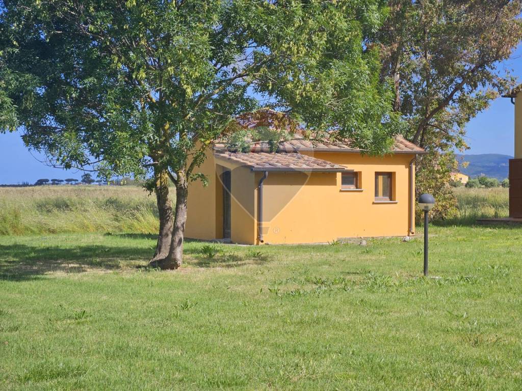 immagine annuncio 2 di 14